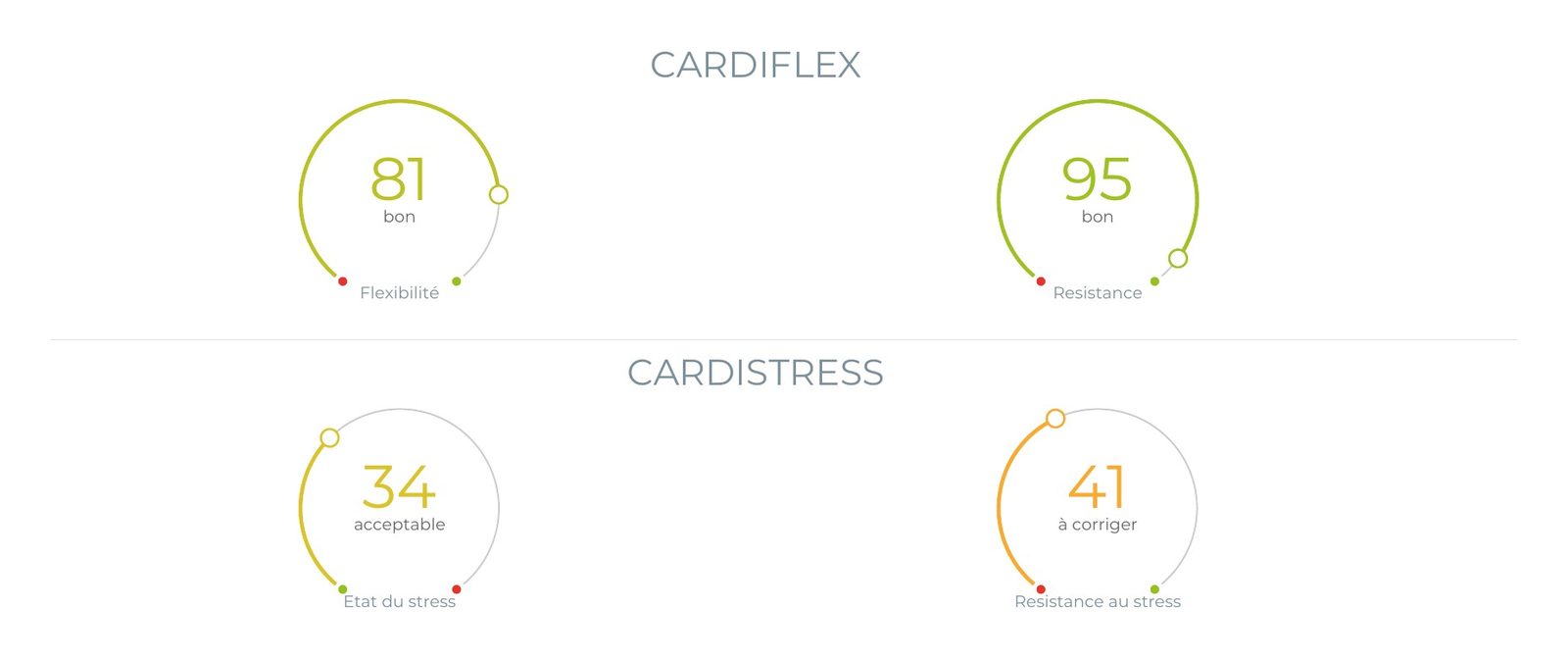 Exemple de bilan Cardicheck : deux jauges, Cardiflex et Cardistress, avec un repère coloré sur chacune.